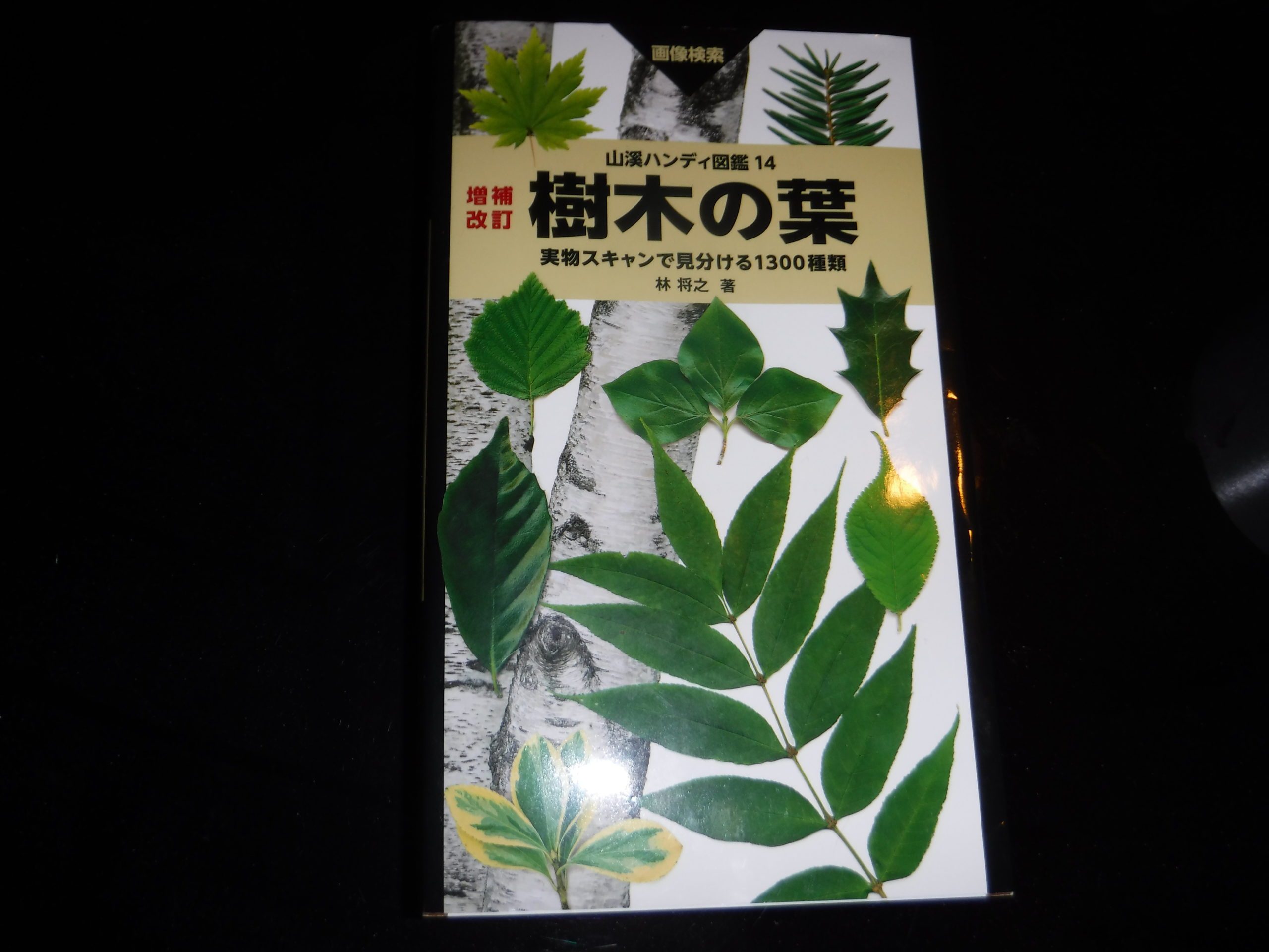 増補改訂樹木の葉 – 森山登真須(砂防ダム音楽家)のブログ